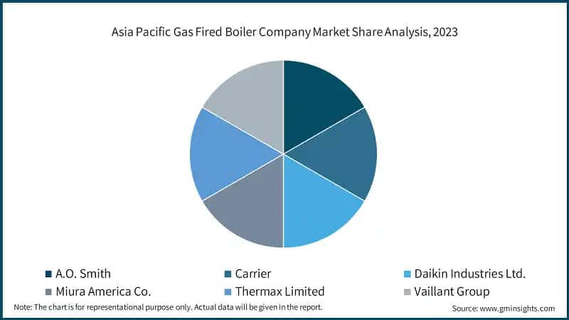 Asia Pacific Gas Fired Boiler Company Market Share Analysis, 2023