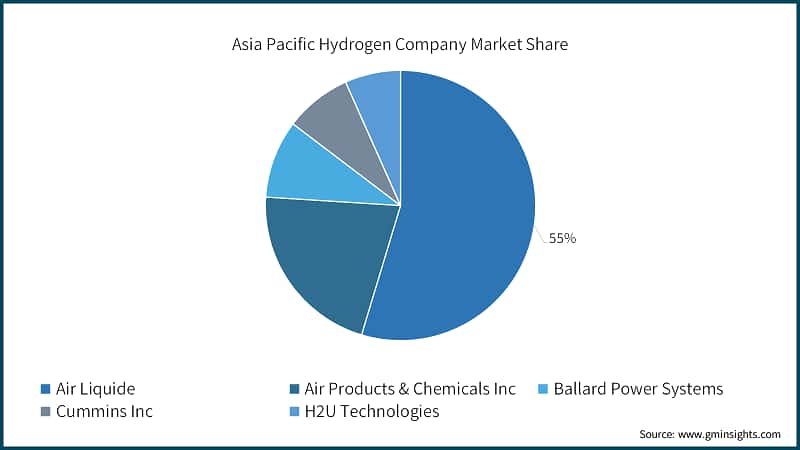 Asia Pacific Hydrogen Company Market Share