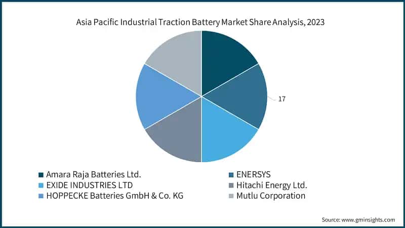 Asia Pacific Industrial Traction Battery Market Share Analysis, 2023