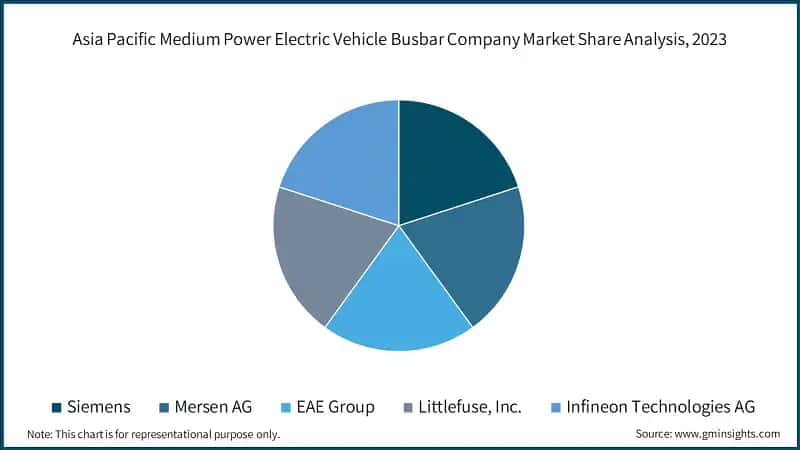 Asia Pacific Medium Power Electric Vehicle Busbar Company Market Share Analysis, 2023 