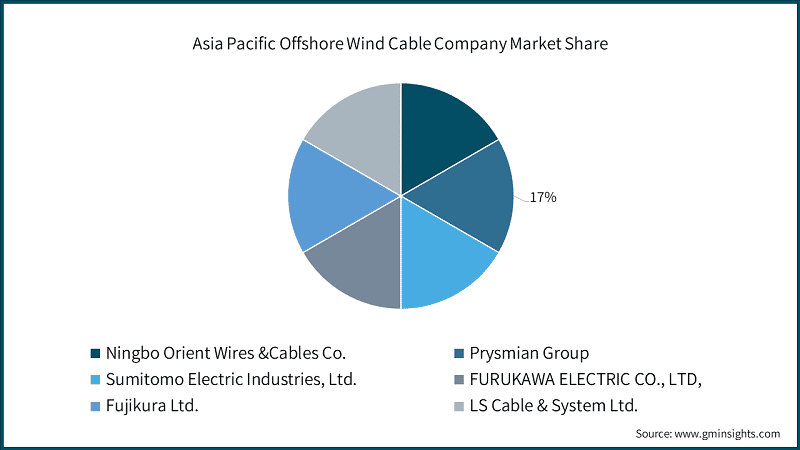 Asia Pacific Offshore Wind Cable Company Market Share