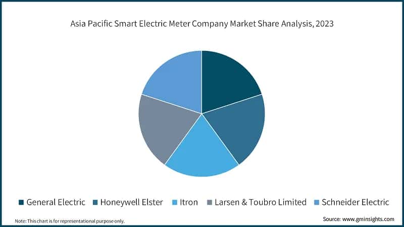 Asia Pacific Smart Electric Meter Company Market Share Analysis, 2023