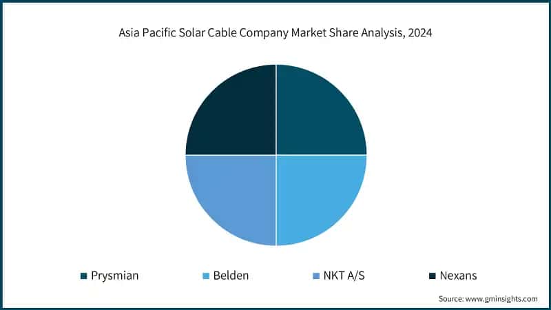 Asia Pacific Solar Cable Company Market Share Analysis, 2024