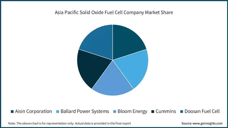 Asia Pacific Solid Oxide Fuel Cell Company Market Share