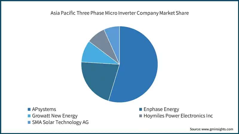 Asia Pacific Three Phase Micro Inverter Company Market Share