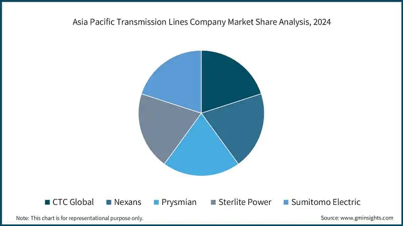 Asia Pacific Transmission Lines Company Market Share Analysis, 2024