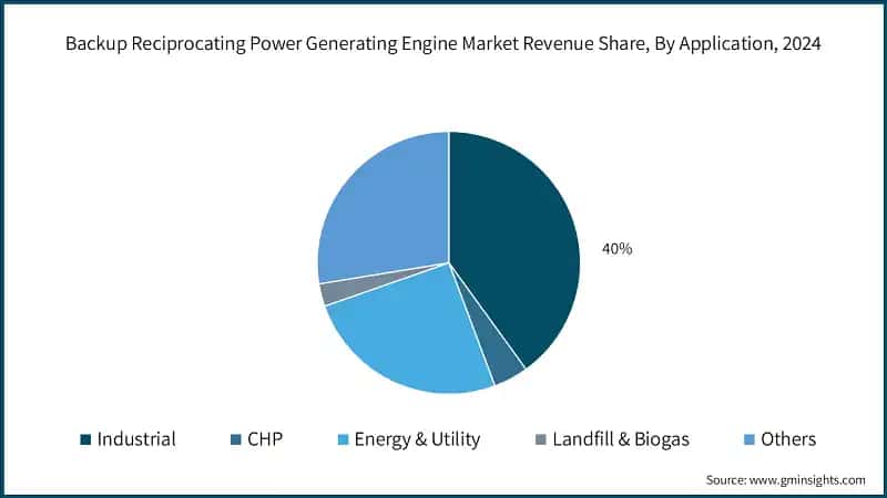 Backup Reciprocating Power Generating Engine Market Revenue Share, By Application, 2024