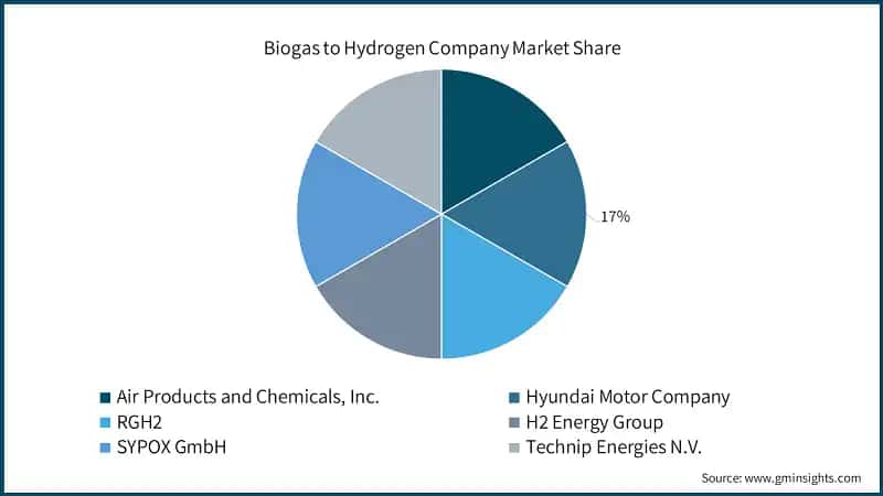 Biogas to Hydrogen Company Market Share