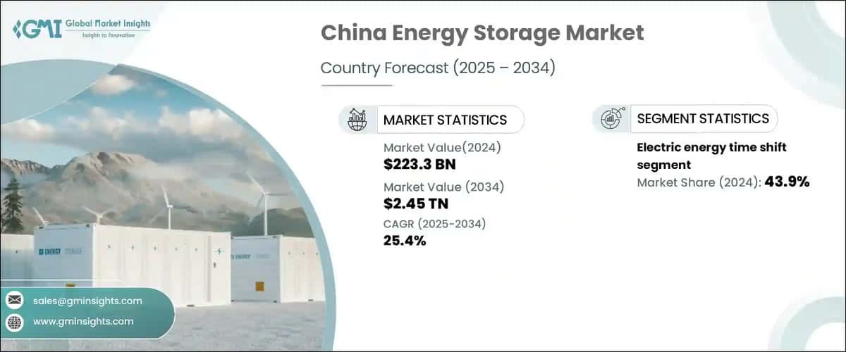 China Energy Storage Market