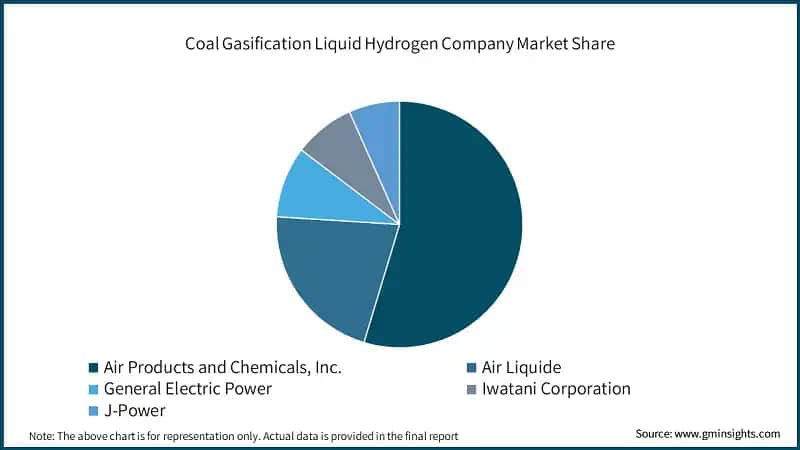 Coal Gasification Liquid Hydrogen Company Market Share