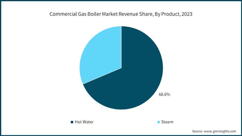 Commercial Gas Boiler Market Revenue Share, By Product, 2023
