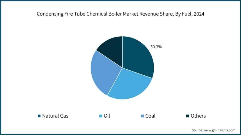 Condensing Fire Tube Chemical Boiler Market Revenue Share, By Fuel, 2024