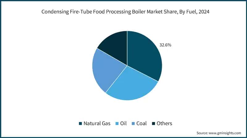 Condensing Fire-Tube Food Processing Boiler Market Share, By Fuel, 2024