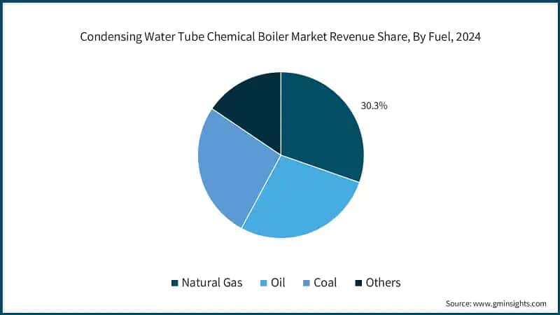 Condensing Water Tube Chemical Boiler Market Revenue Share, By Fuel, 2024