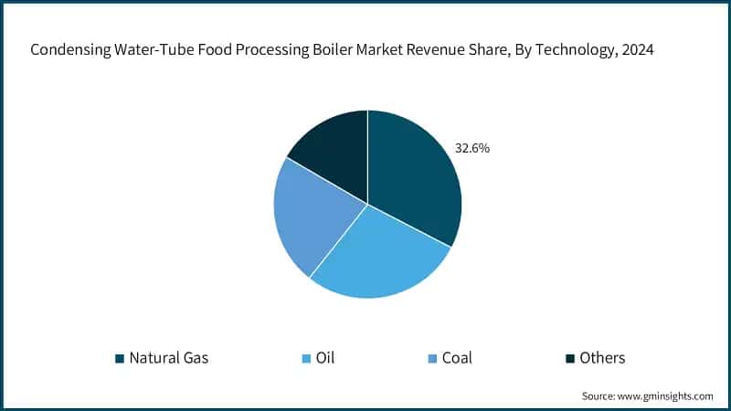 Condensing Water-Tube Food Processing Boiler Market Revenue Share, By Technology, 2024