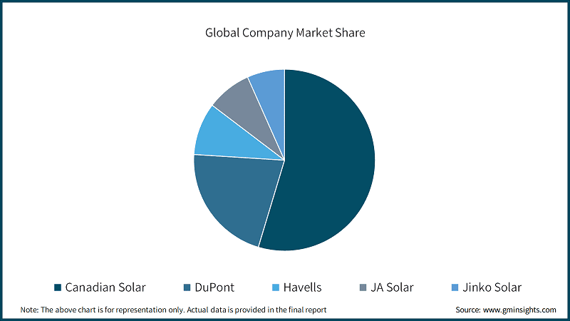 Global Company Market Share