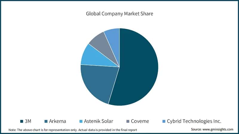 Global Company Market Share