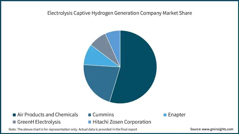 Electrolysis Captive Hydrogen Generation Company Market Share