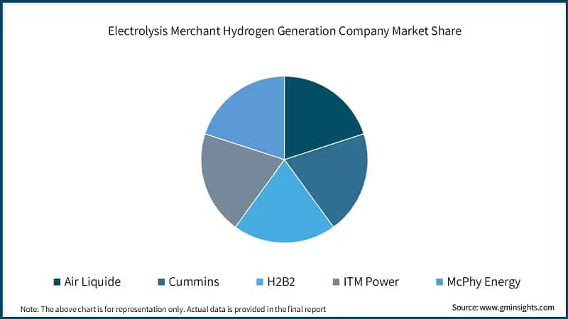 Electrolysis Merchant Hydrogen Generation Company Market Share