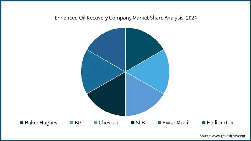 Enhanced Oil Recovery Company Market Share Analysis, 2024