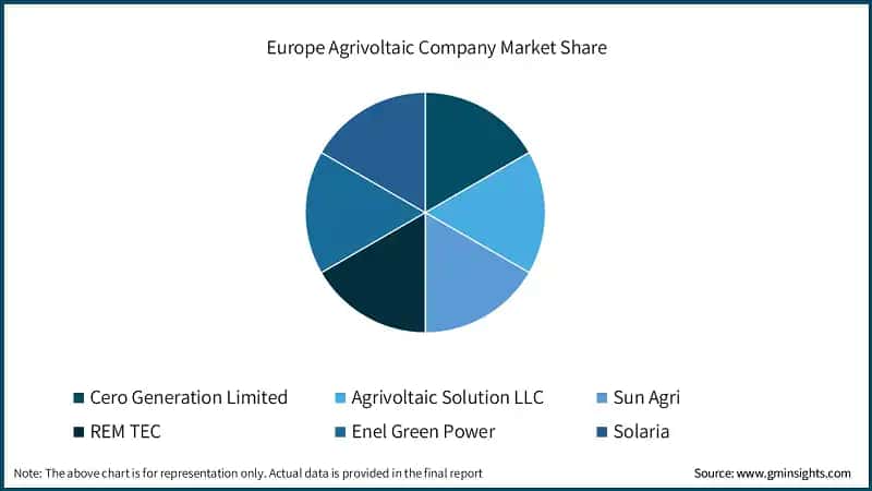Europe Agrivoltaic Company Market Share
