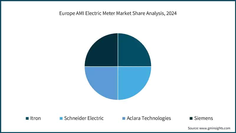 Europe AMI Electric Meter Market Share Analysis, 2024