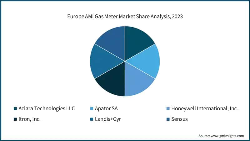 Europe AMI Gas Meter Market Share Analysis, 2023