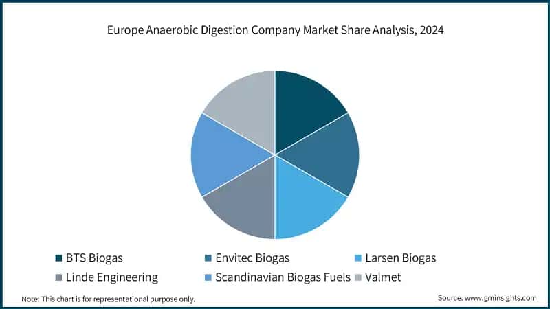Europe Anaerobic Digestion Company Market Share Analysis, 2024
