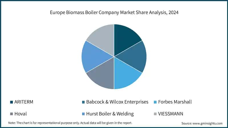 Europe Biomass Boiler Company Market Share Analysis, 2024