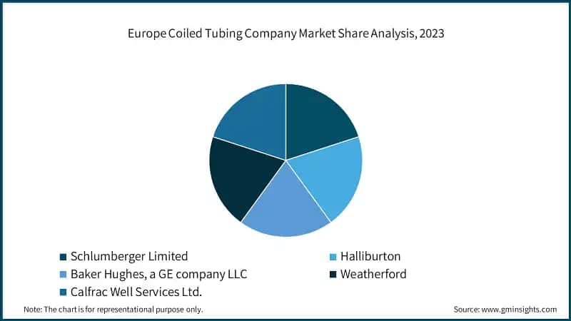 Europe Coiled Tubing Company Market Share Analysis, 2023