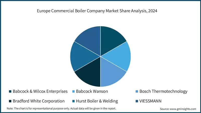 Europe Commercial Boiler Company Market Share Analysis, 2024