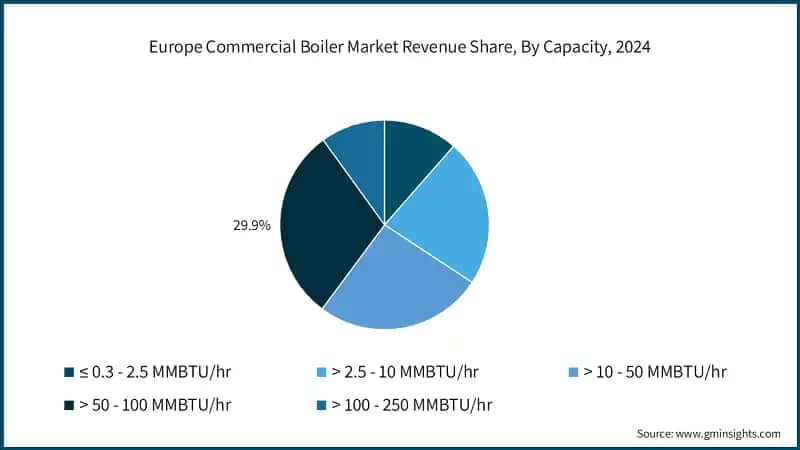 Europe Commercial Boiler Market Revenue Share, By Capacity, 2024