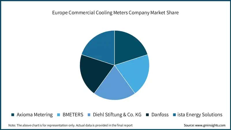 Europe Commercial Cooling Meters Company Market Share