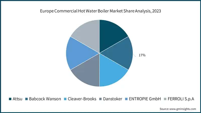 Europe Commercial Hot Water Boiler Market Share Analysis, 2023