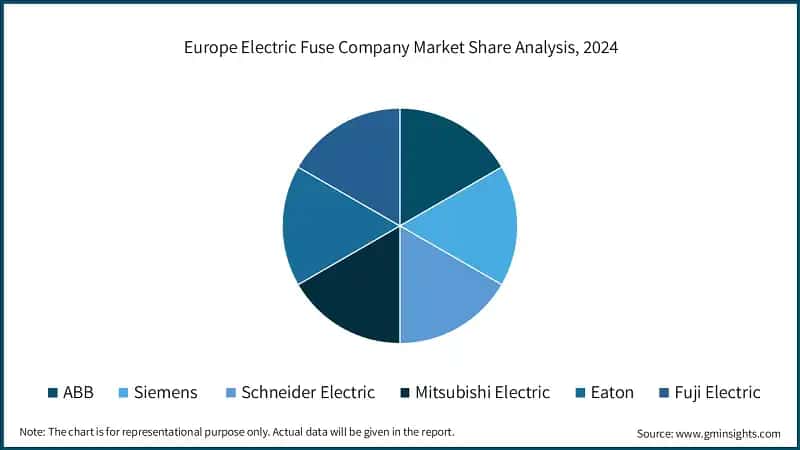 Europe Electric Fuse Company Market Share Analysis, 2024