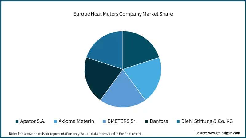 Europe Heat Meters Company Market Share
