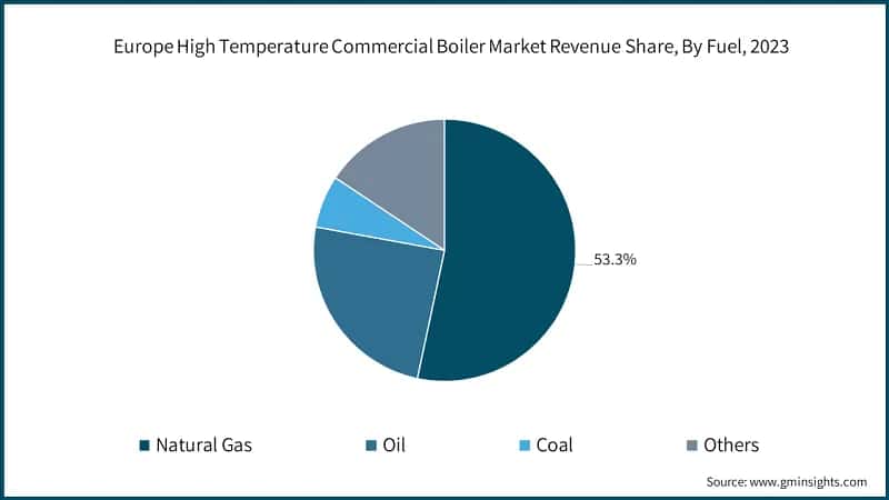 Europe High Temperature Commercial Boiler Company Market Share Analysis, 2023