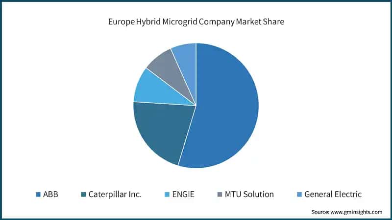  Europe Hybrid Microgrid Company Market Share