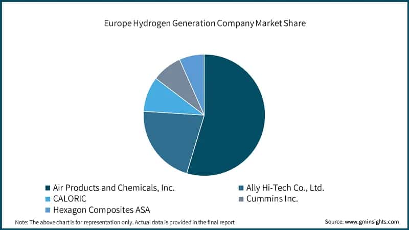 Europe Hydrogen Generation Company Market Share