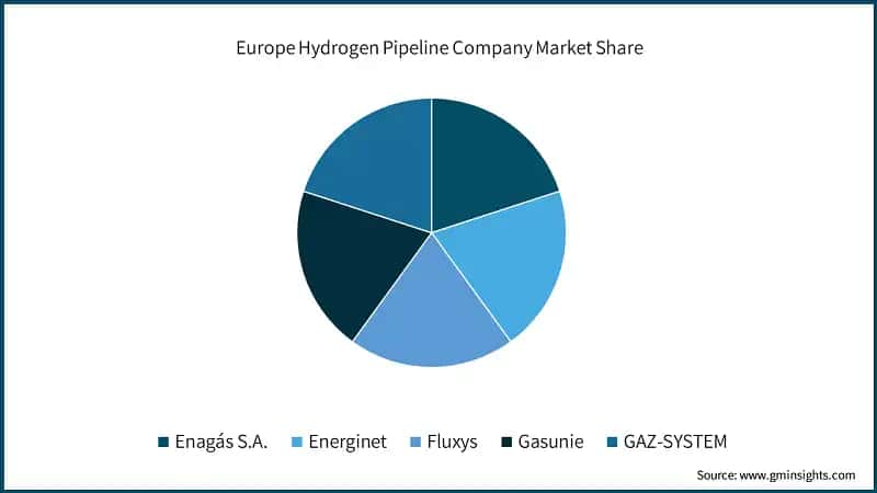 Europe Hydrogen Pipeline Company Market Share
