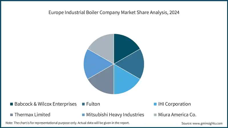 Europe Industrial Boiler Company Market Share Analysis, 2024