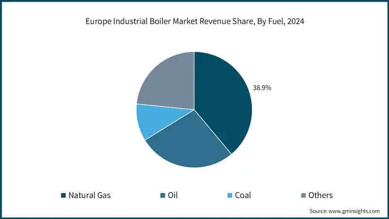 Europe Industrial Boiler Market Revenue Share, By Fuel, 2024
