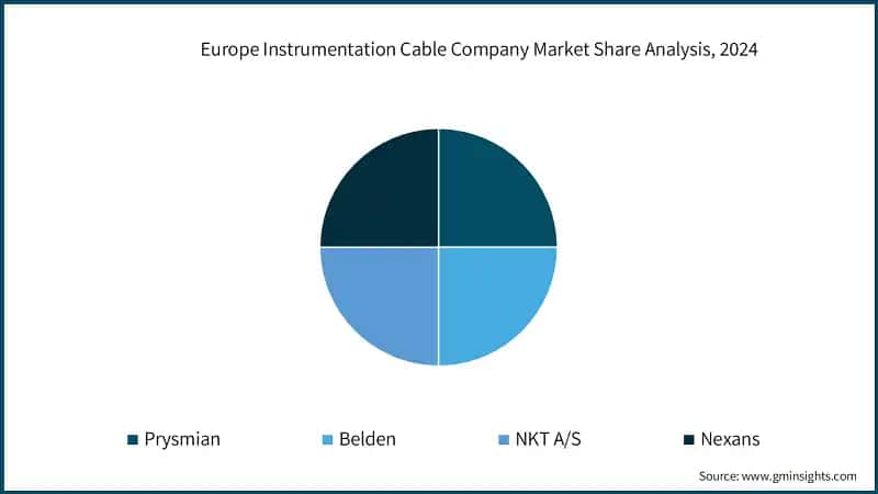 Europe Instrumentation Cable Company Market Share Analysis, 2024