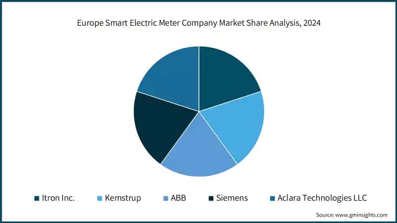  Europe Smart Electric Meter Company Market Share Analysis, 2024