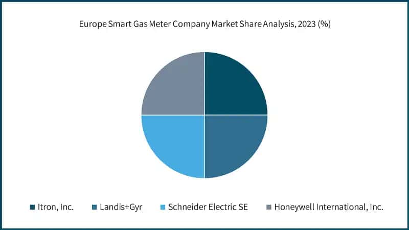 Europe Smart Gas Meter Company Market Share Analysis, 2023