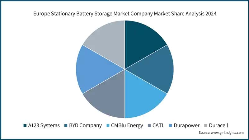 Europe Stationary Battery Storage Market Company Market Share Analysis 2024