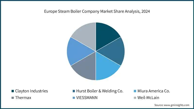 Europe Steam Boiler Company Market Share Analysis, 2024