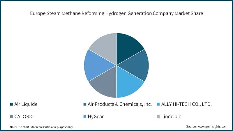 Europe Steam Methane Reforming Hydrogen Generation Company Market Share
