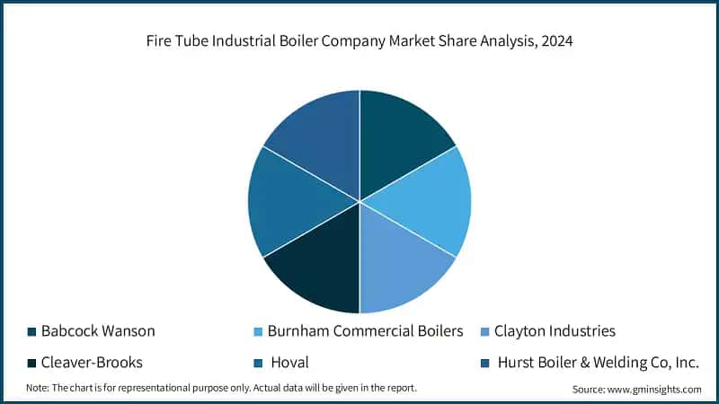 Fire Tube Industrial Boiler Company Market Share Analysis, 2024
