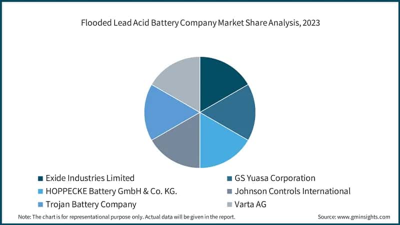Flooded Lead Acid Battery Company Market Share Analysis, 2023